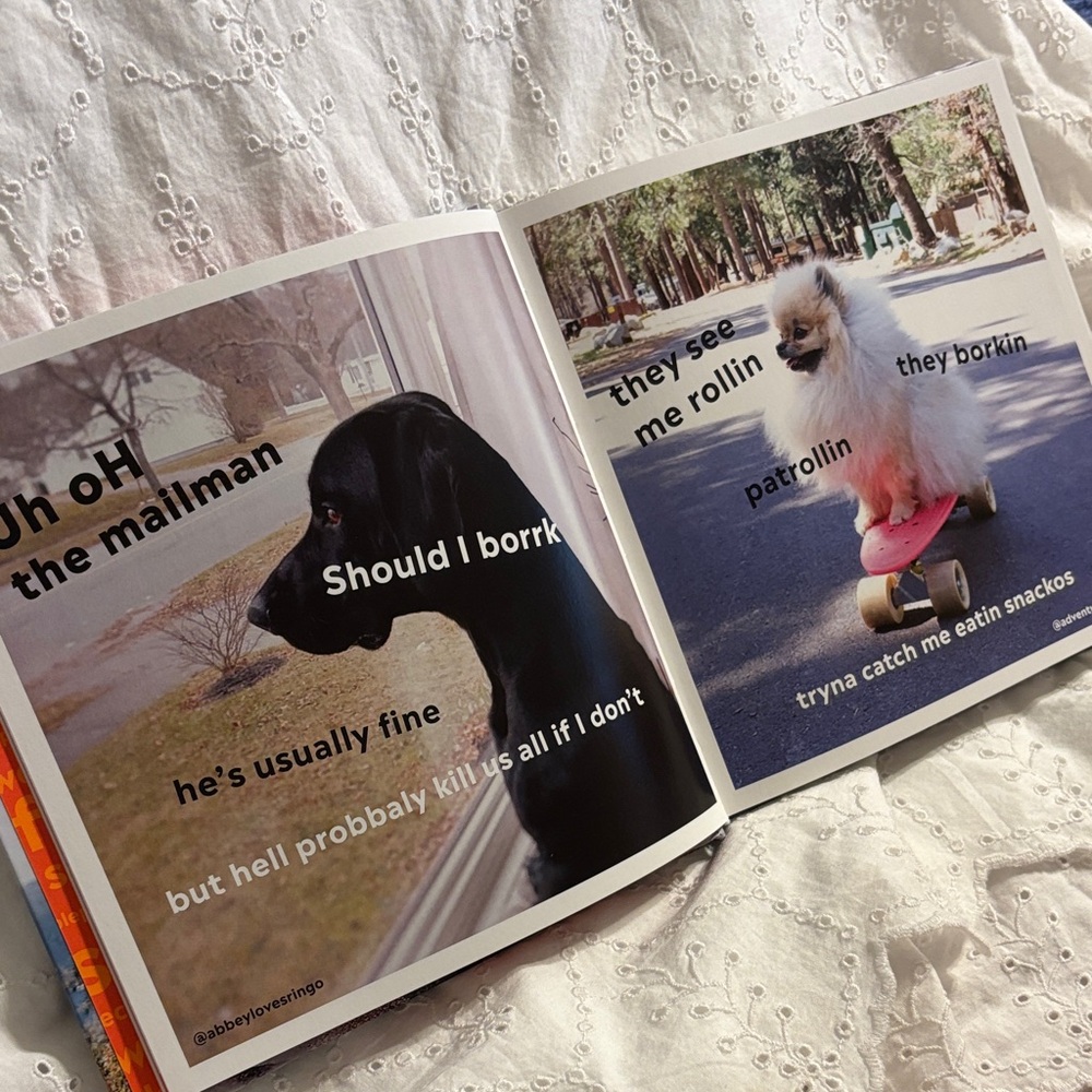 DOGGOS Doing Things Book - Picture 4 of 4